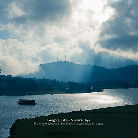 Vila Tea Plant Nuwara Eliya Exteriér fotografie
